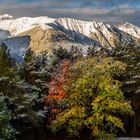 Herbst in Tirol