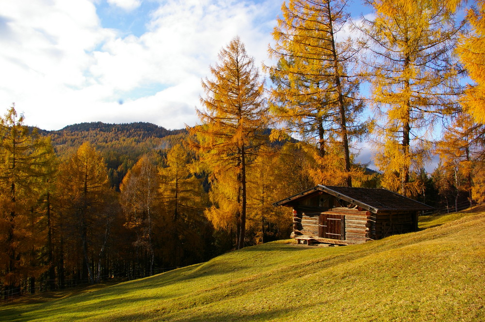 Herbst in Tirol