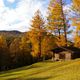 Herbst in Tirol