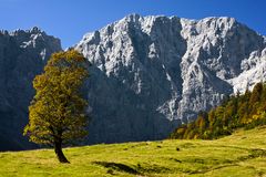 Herbst in Tirol