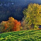 Herbst in Tischinas