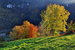 Herbst in Tischinas