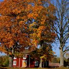 Herbst in Törsbo