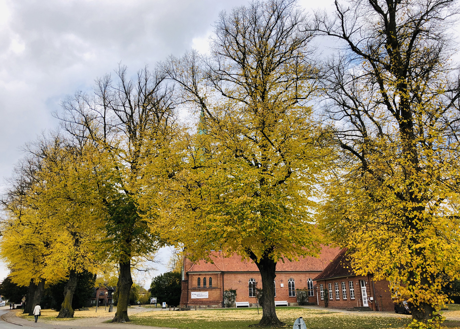 HERBST in Trittau (3)