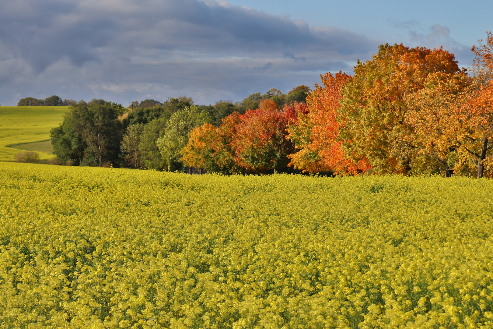 Herbst in Tschechien