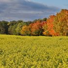 Herbst in Tschechien