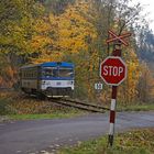 Herbst in Tschechien