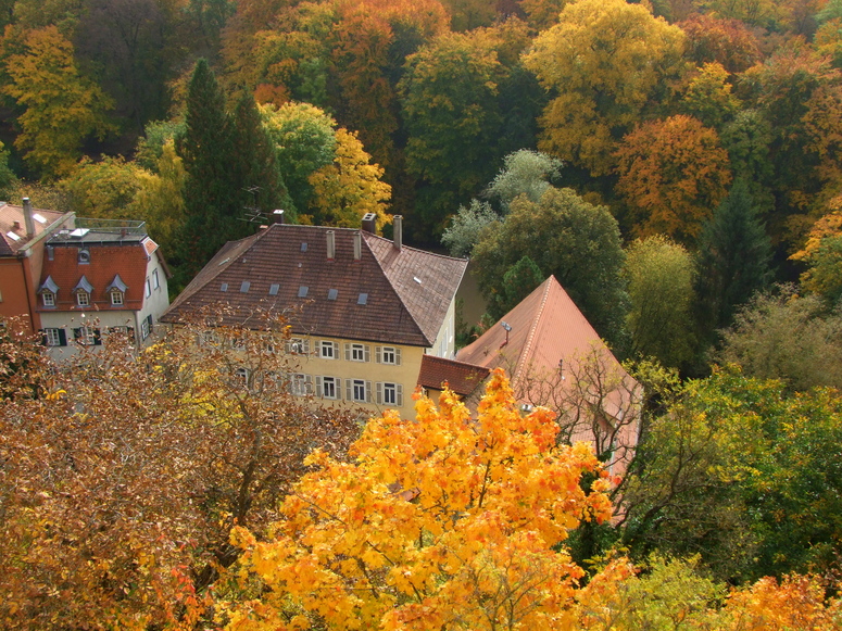 Herbst in Tübingen 6