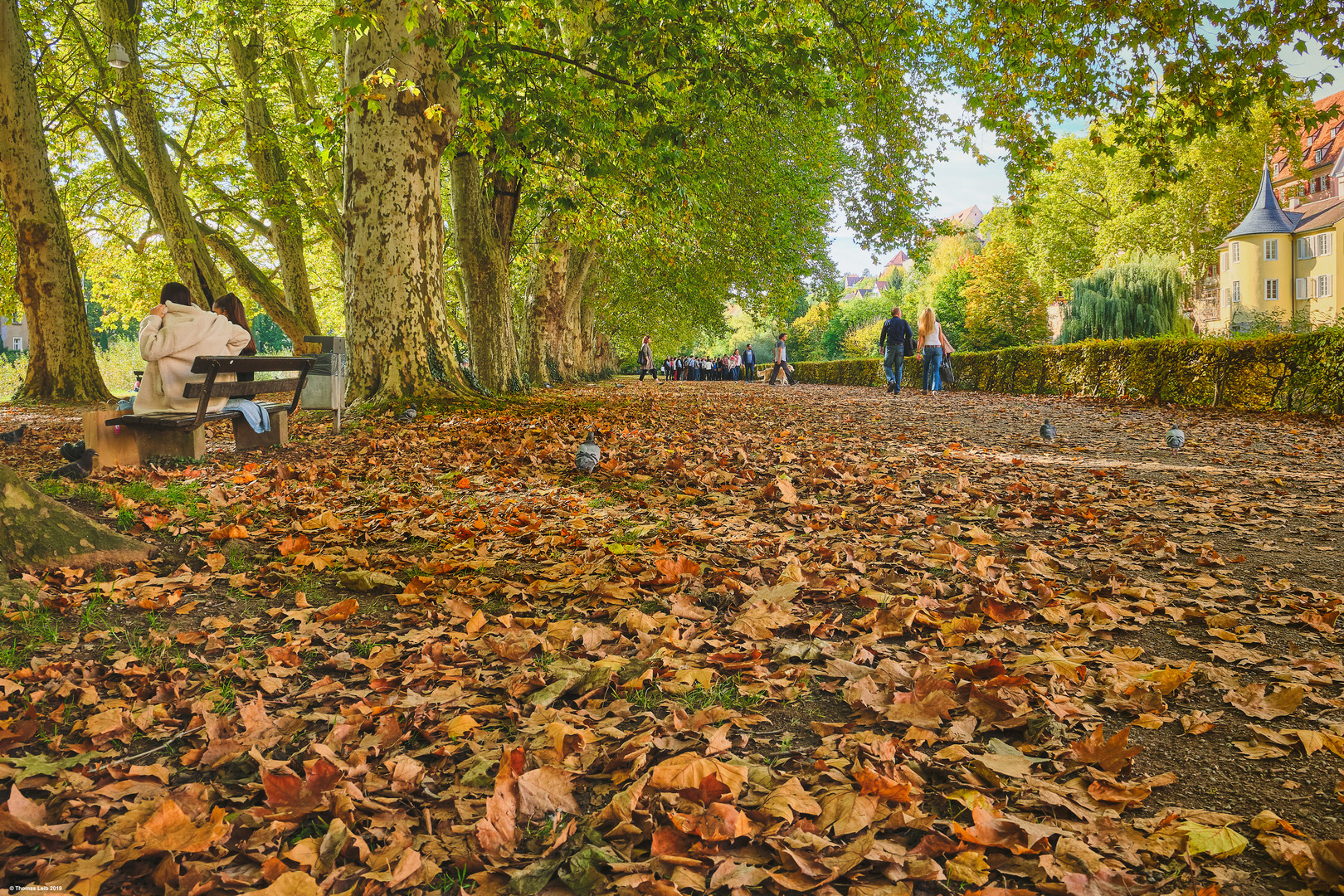 Herbst in Tübingen