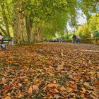 Herbst in Tübingen