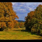 Herbst in Undeloh