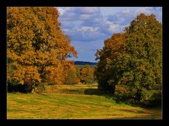 Herbst in Undeloh