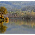 Herbst in Ungarn