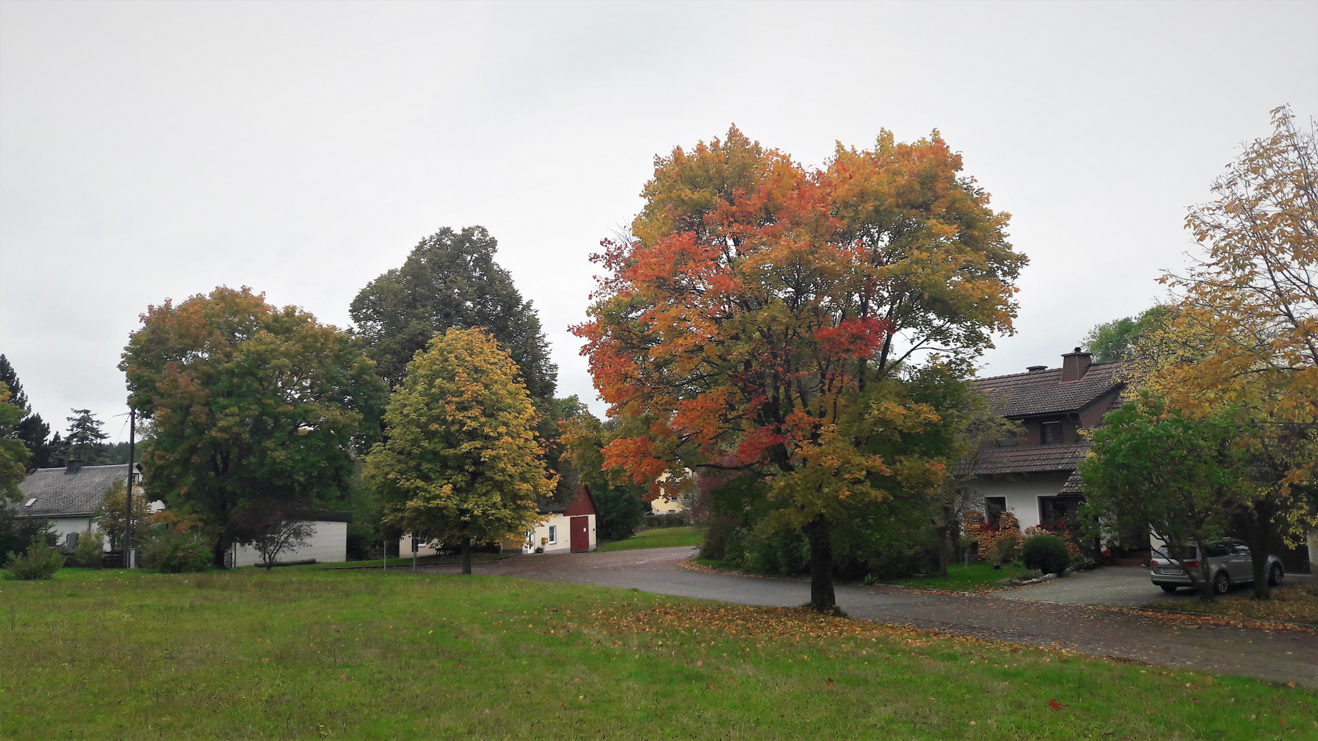 Herbst in unserem Dorf 11.10.2019