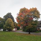 Herbst in unserem Dorf 11.10.2019