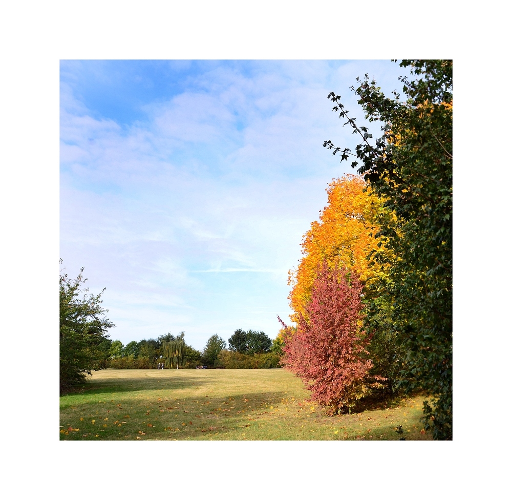 Herbst in unserem Park