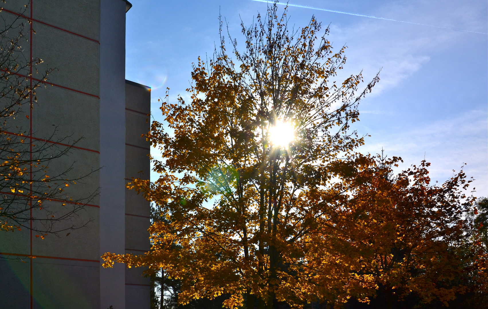 Herbst in unserer Straße