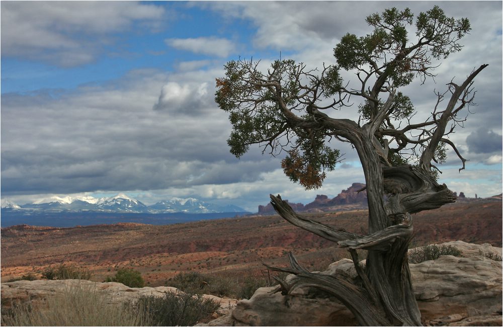 Herbst in Utah