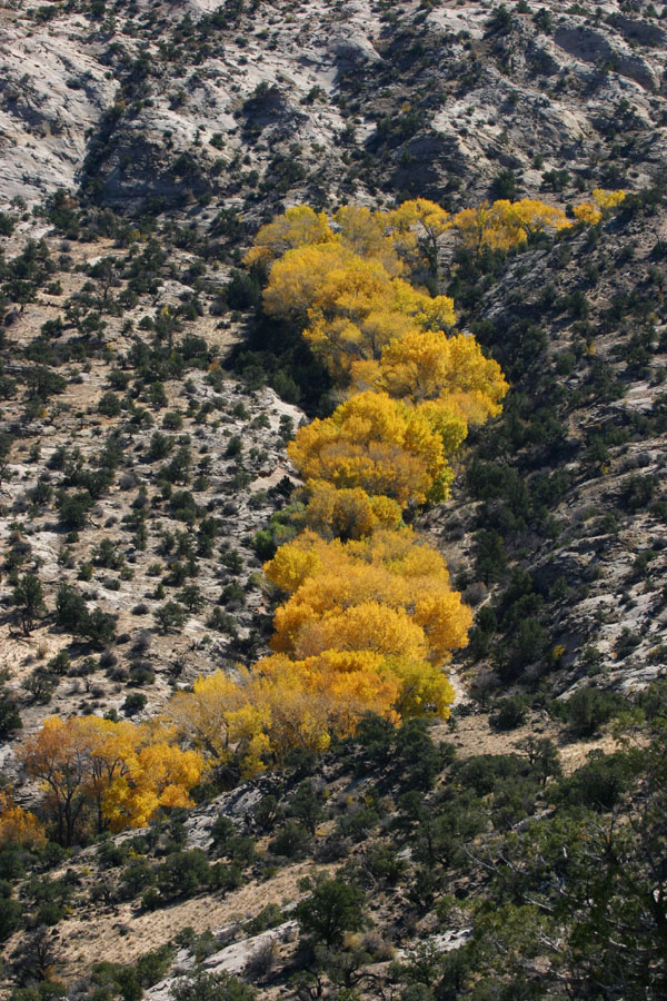 Herbst in Utah