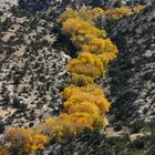 Herbst in Utah