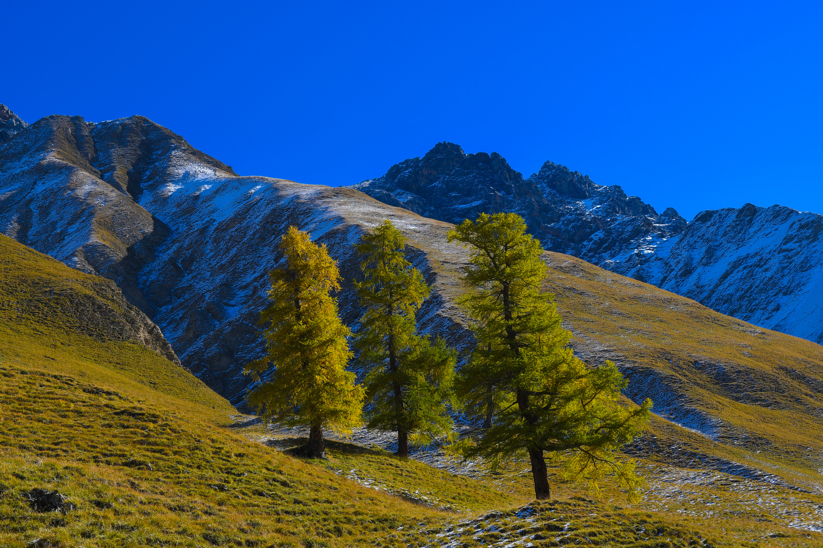 Herbst in Val Trupchun