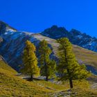 Herbst in Val Trupchun