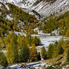 Herbst in Valposchiavo IV