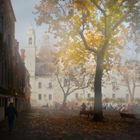 Herbst in Venedig neu