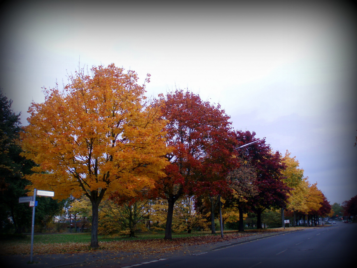 Herbst in Viersen