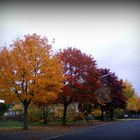 Herbst in Viersen