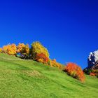 Herbst in Villnöß