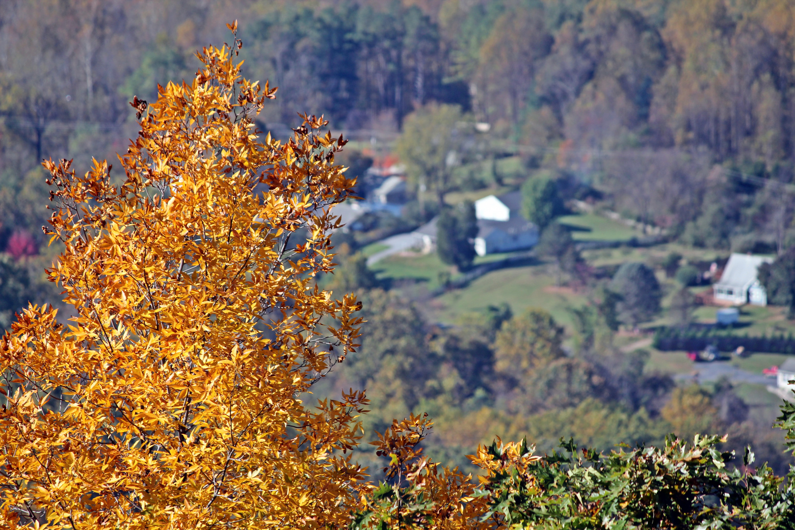 Herbst in Virginia