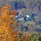 Herbst in Virginia