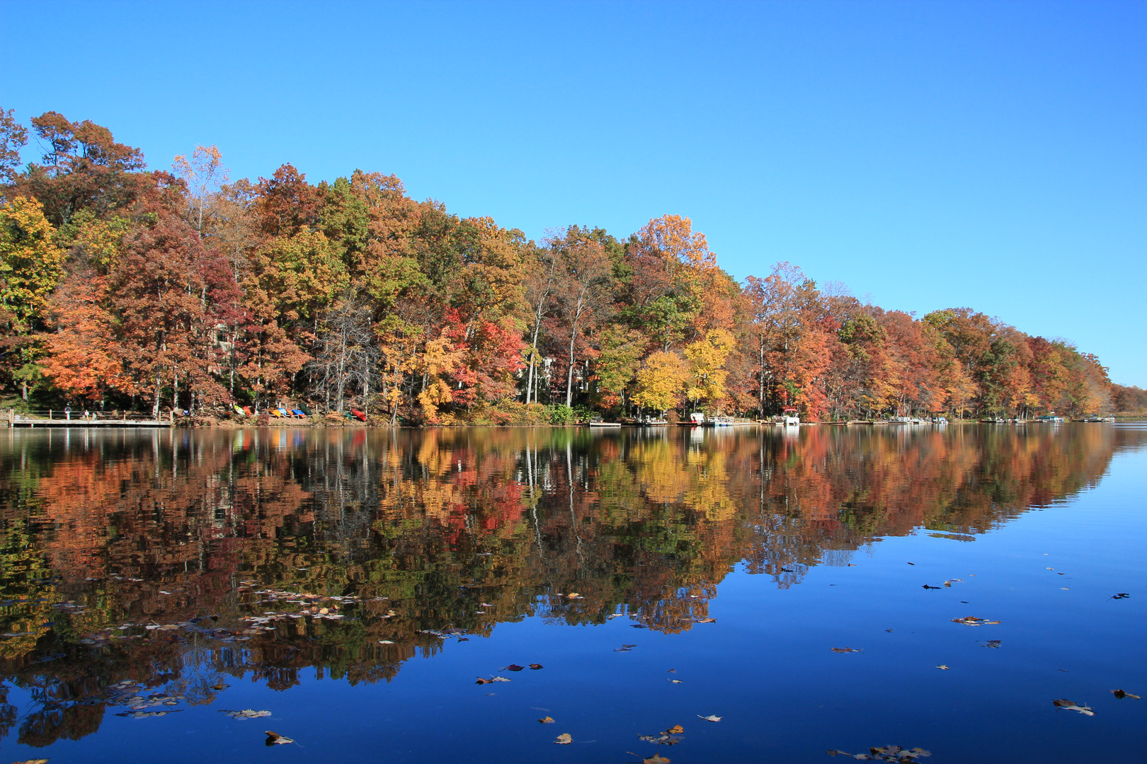 Herbst in Virginia