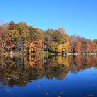 Herbst in Virginia