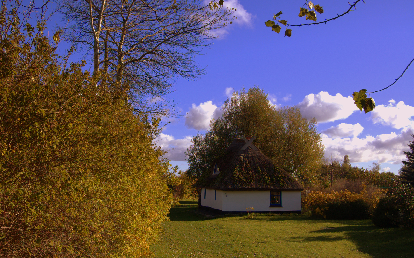 Herbst in Vitte am kleinem Hexenhaus ( Hiddensee)