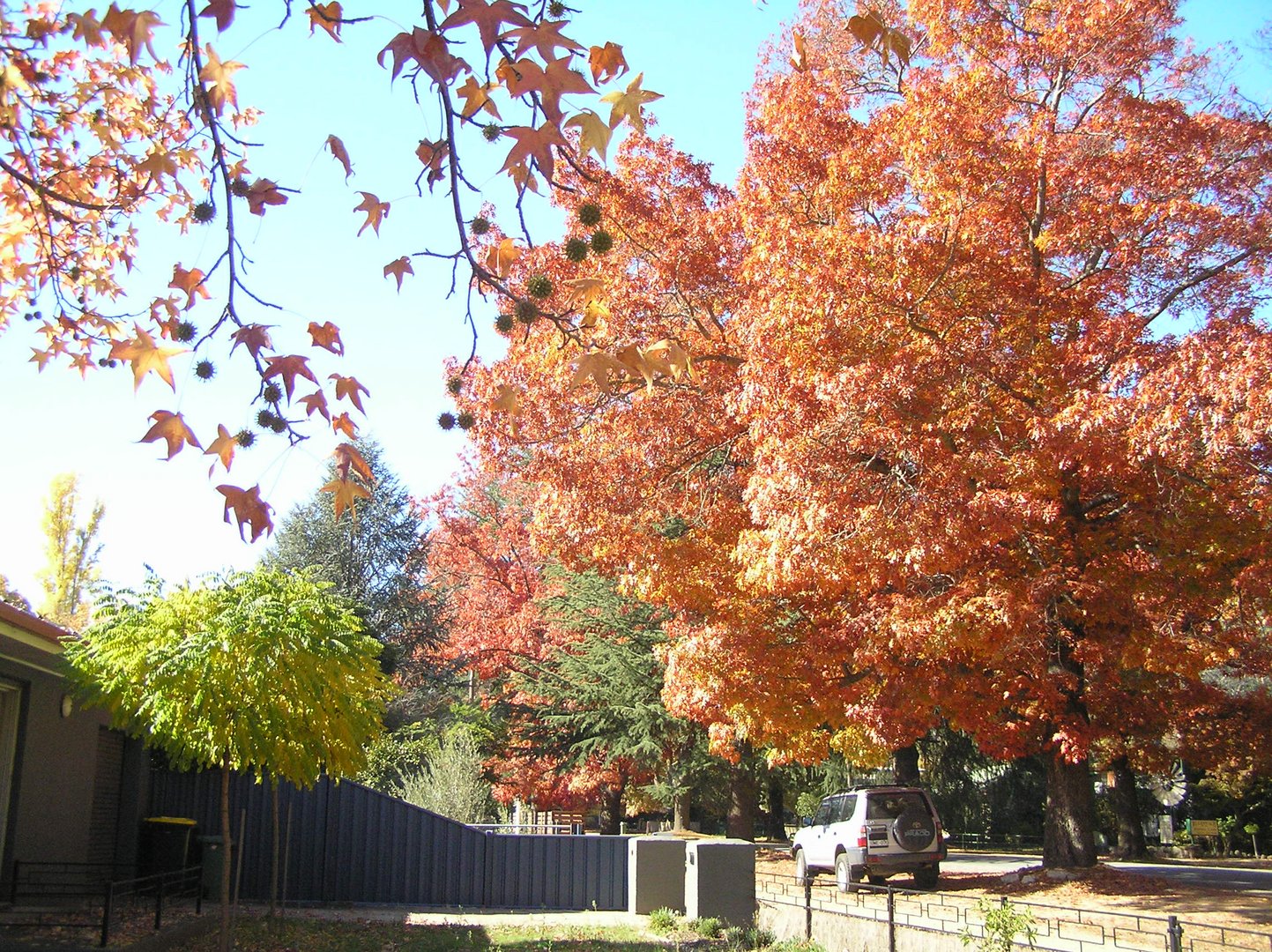 Herbst in voller Herrlichkeit