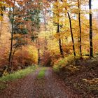 Herbst in voller Pracht