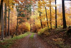 Herbst in voller Pracht