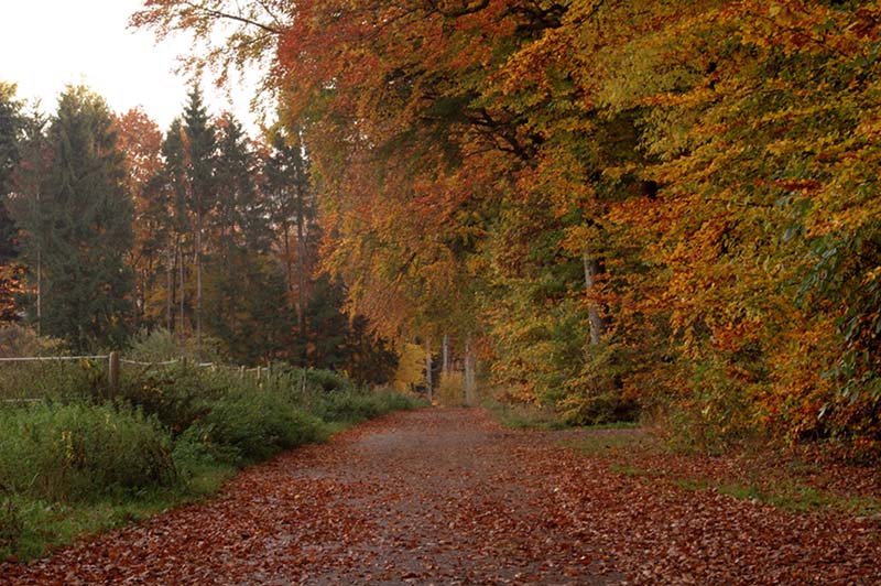 Herbst in voller Pracht