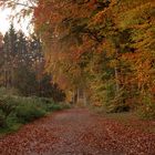 Herbst in voller Pracht