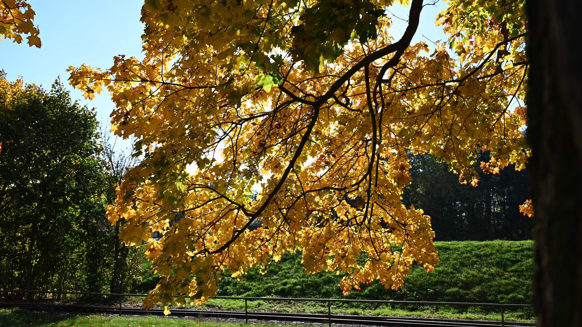 Herbst in voller Pracht