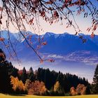 Herbst in Vorarlberg...