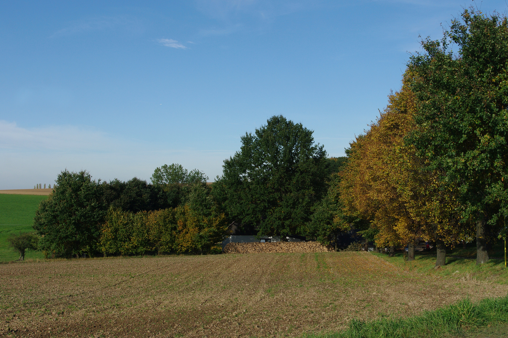 Herbst in Vorbereitung auf den >Winter