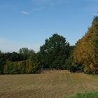 Herbst in Vorbereitung auf den >Winter