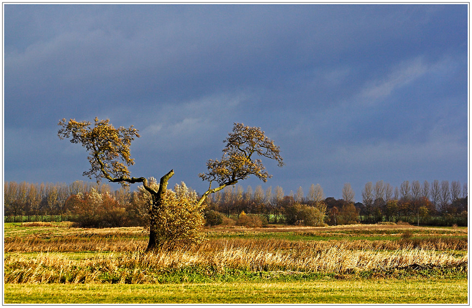 Herbst in Vorpommern..