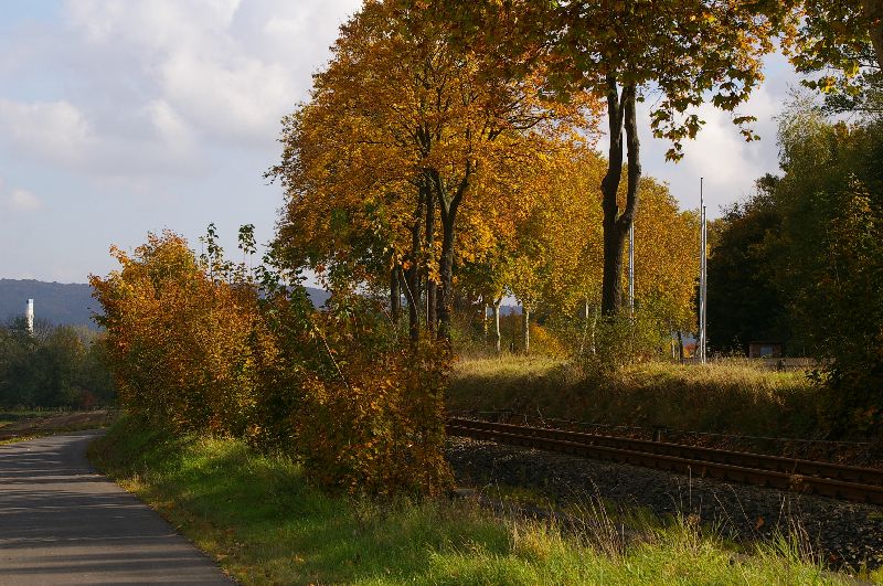 Herbst in WA-FKB