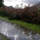 Herbst in Wales - Craig y Deryn