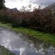 Herbst in Wales - Craig y Deryn