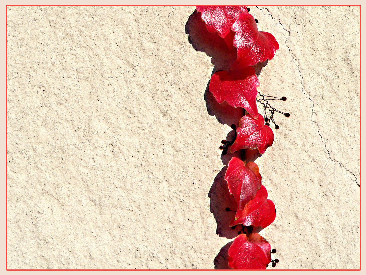 Herbst in weinrot